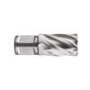 Eggenberg HSS Kernbohrer Weldon 19 – 20×55 mm