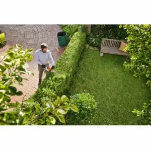 Stihl Akku-Heckenschere